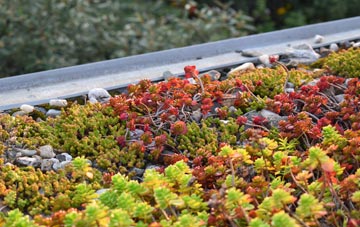 the cost of Pitcalnie green roof installation