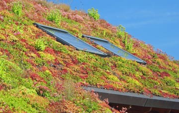 Pitcalnie living roof systems