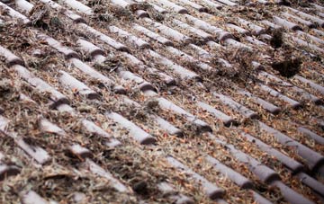 Pitcalnie roof cleaning companies