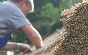 professional Pitcalnie thatchers